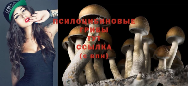 mdma Вяземский