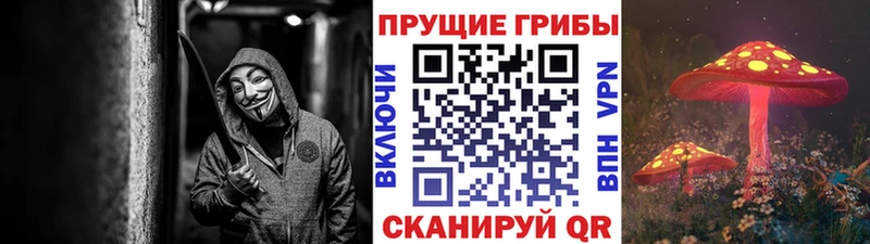 Галлюциногенные грибы мухоморы  Сунжа 